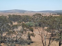 Landschaft mit ein paar Hügeln nach Adelaide