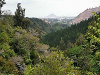 Erster Blick auf den Mount Maunganui