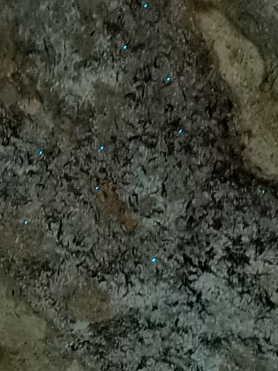 Höhlendecke mit Glühwürmchen